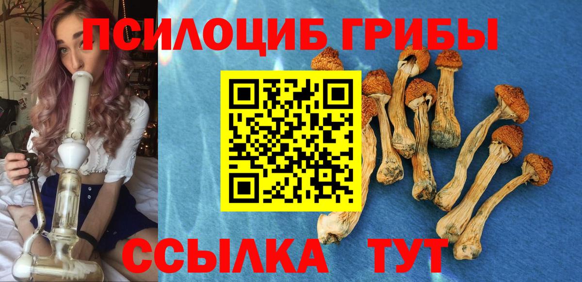 Галлюциногенные грибы мицелий Назрань