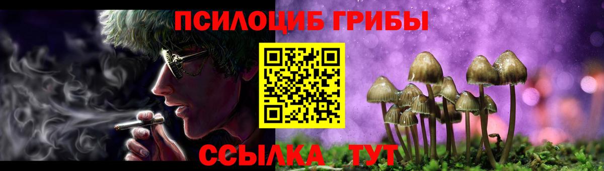 Назрань  Псилоцибиновые грибы Magic Shrooms  Псилоцибиновые грибы Magic Shrooms  где купить   Вход с VPN 
