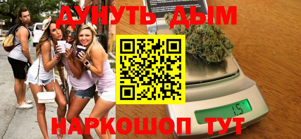 Назрань  Каннабис планчик  Канабис сатива  Каннабис SATIVA & INDICA  Марихуана OG Kush  Вход с VPN 